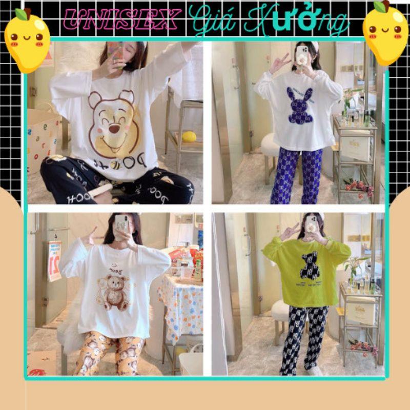 Đồ Bộ Pyjama Dài Tay, Đồ Ngủ Mặc Nhà Pizama Nữ Siêu Dễ Thương In Hình Hoạt Hình