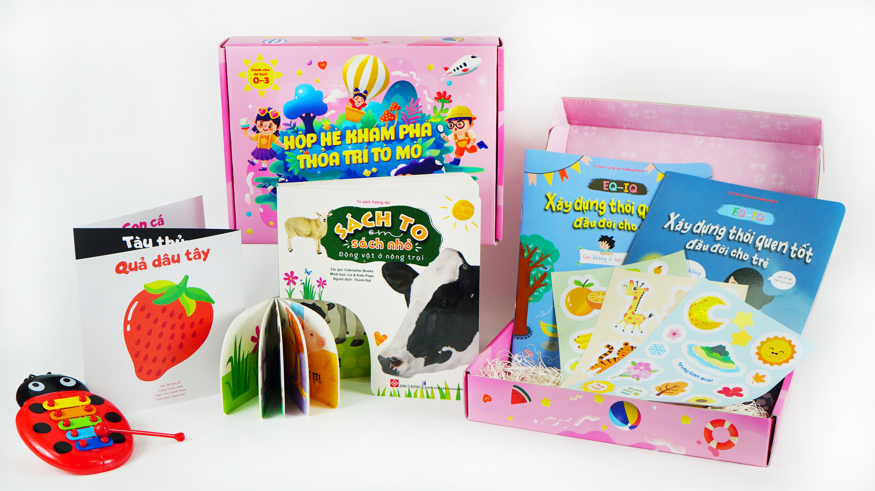 Sách - Hộp Hè Khám Phá, Thỏa Trí Tò Mò – Mở Ra Thấy Mùa Hè cho trẻ 0 - 3 tuổi – Đinh Tị Books
