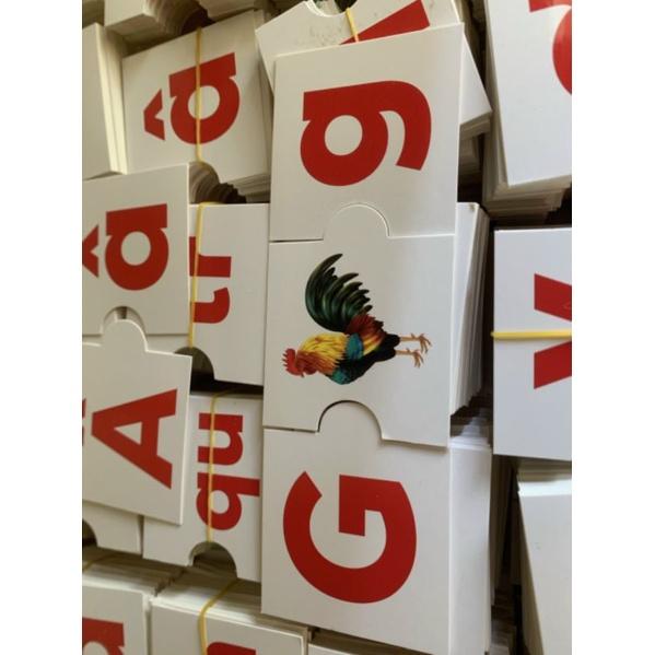 Flash card ghép hình viết xoá được