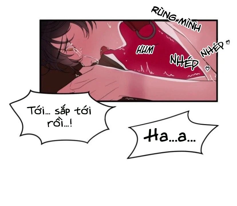 người tình dâm đãng của tôi chapter 5 13