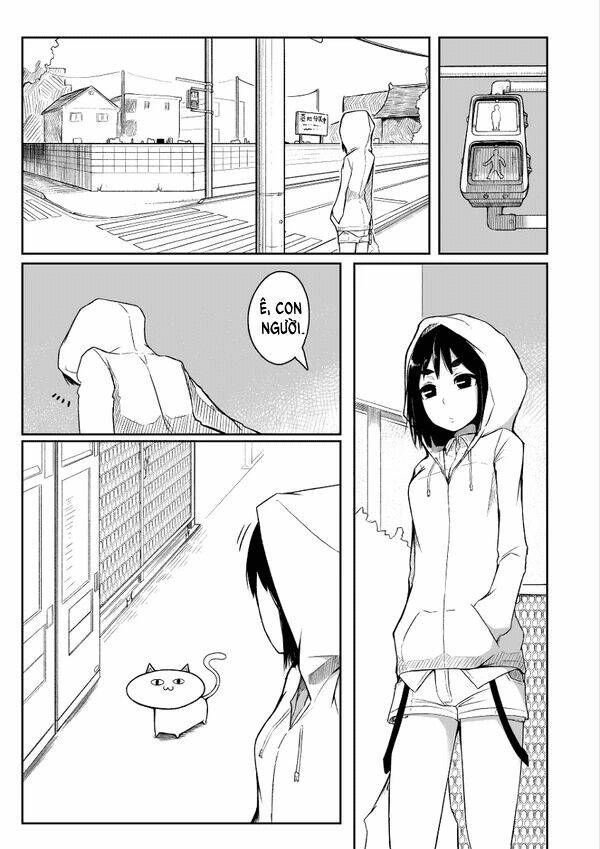 đây là câu chuyện về một con mèo chapter 0 1