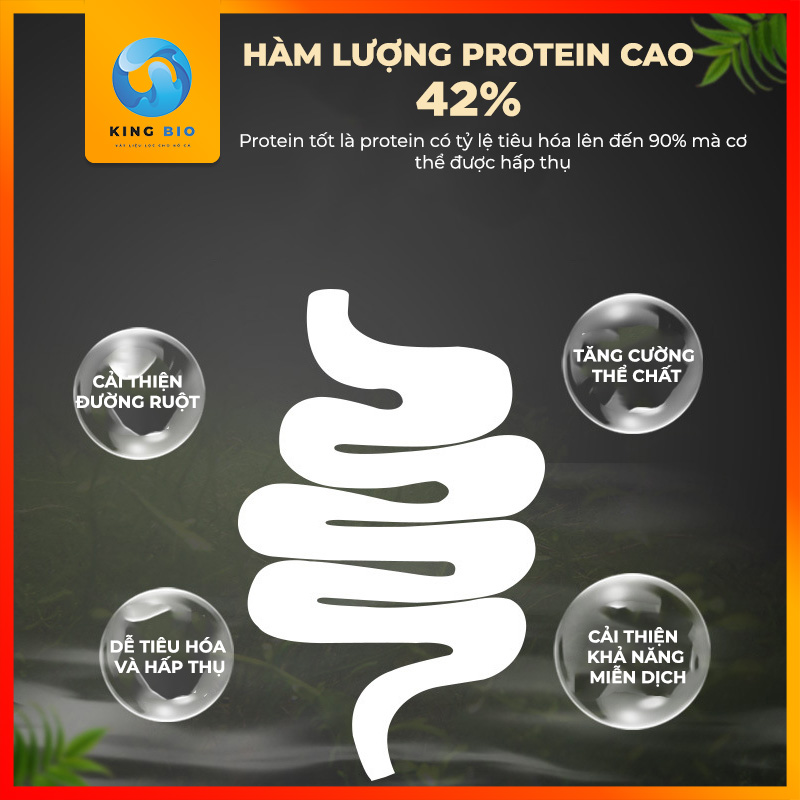 Cám cho cá Dĩa - thức ăn dinh dưỡng giàu đạm, Vitamin và hỗ trợ lên màu cho Cá Dĩa