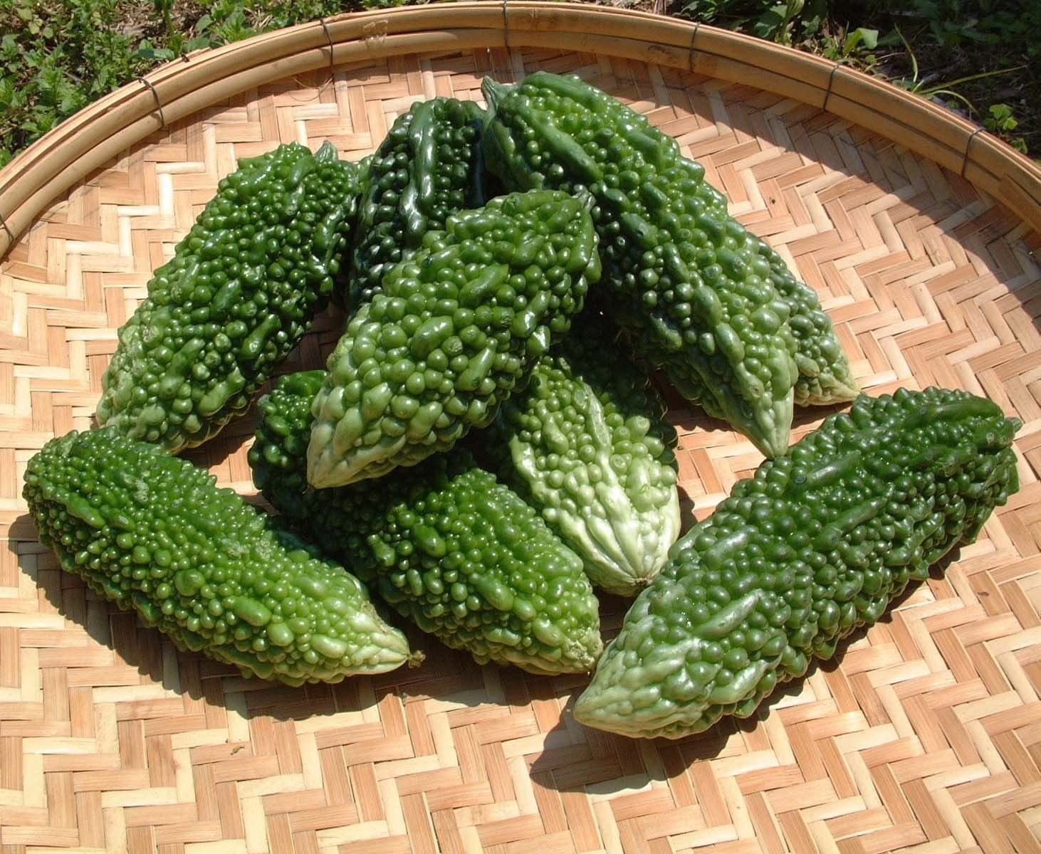 10 hạt giống khổ qua trái xanh