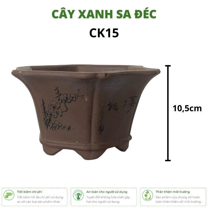Chậu lục giác mini chữ tàu cắt viền miệng tinh xảo hoa văn cành hoa, tre trúc CK15