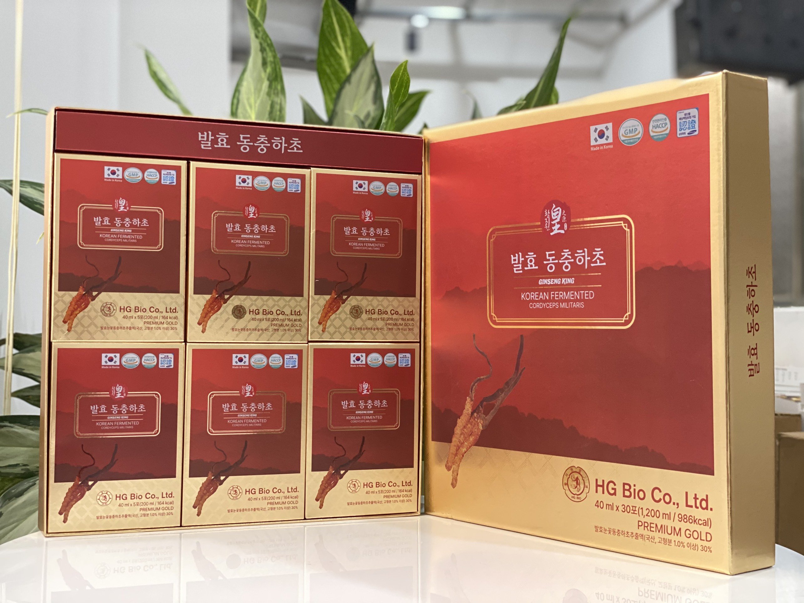 Hộp tinh chất đông trùng hạ thảo Hàn Quốc korean fermented hg bio co