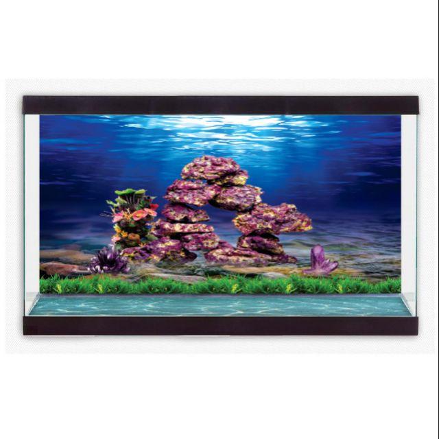 Decal dán hồ cá 3D kích thước 100x40cm
