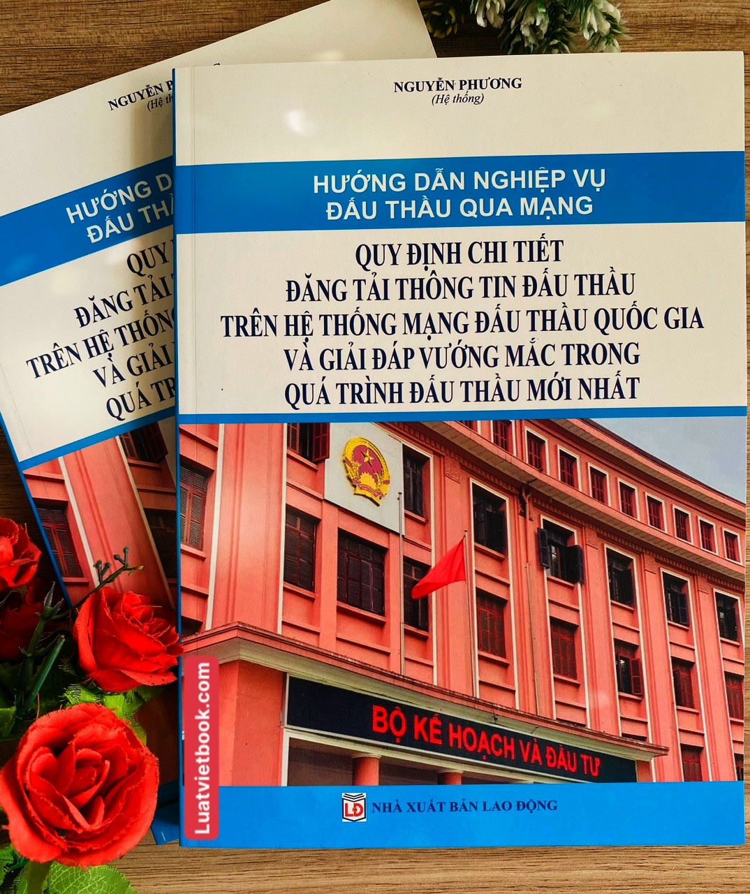 Hướng dẫn nghiệp vụ đấu thầu quan mạng - Quy định chi tiết đăng tải thông tin đấu thầu trên hệ thống mạng đấu thầu quốc gia và giải đáp vướng mắc trong quá trình  đấu thầu mới nhất