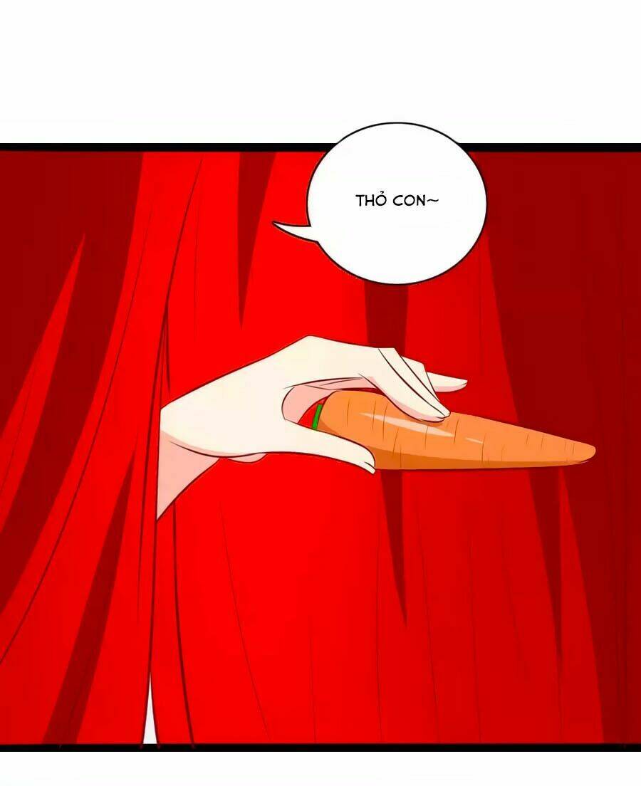 thỏ yêu tiểu vương phi chapter 84 23