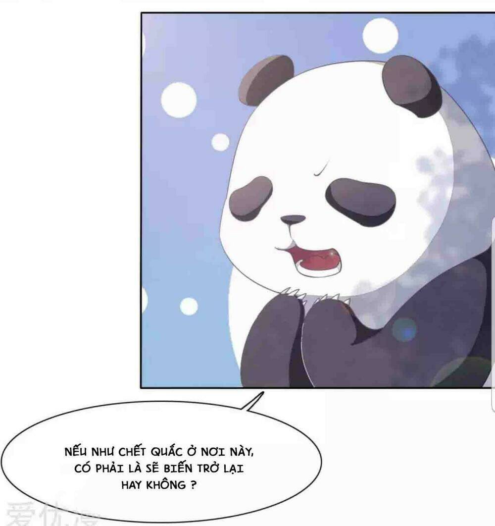 xuyên về cổ đại làm quốc bảo chapter 4 7