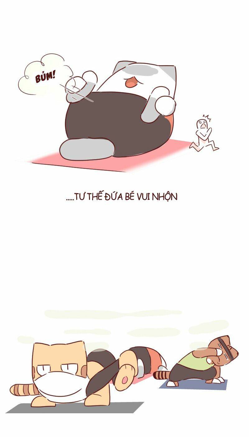 saphie: chú mèo một mắt chapter 25 11