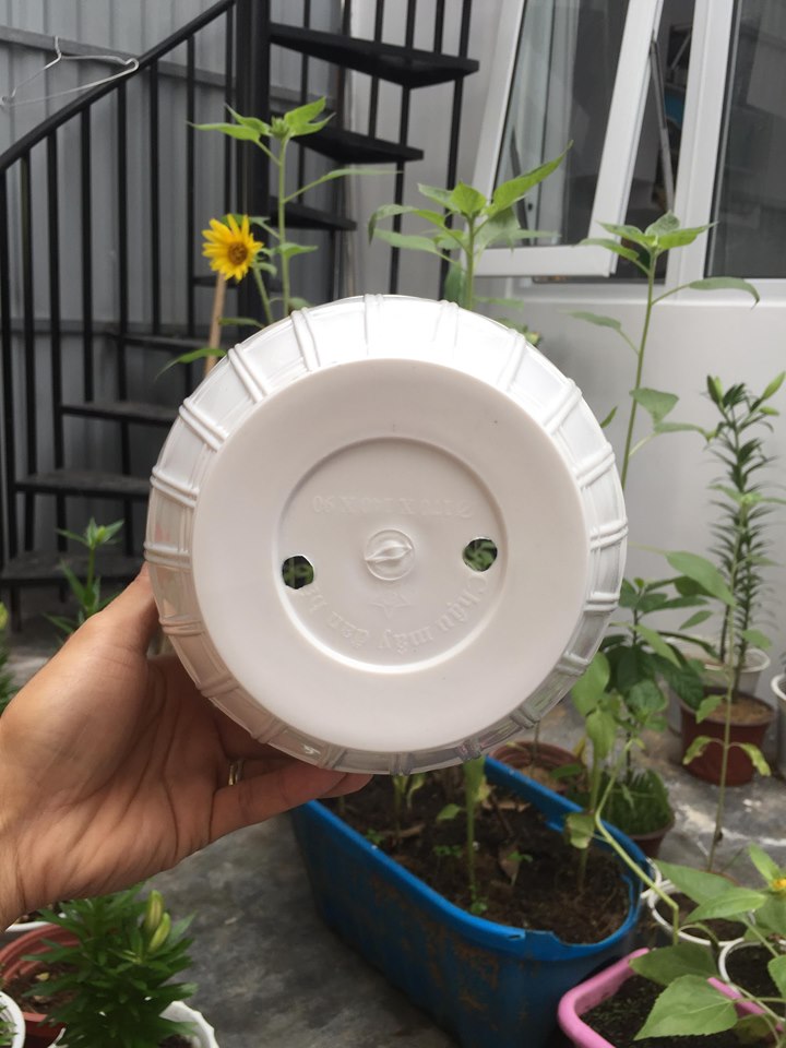 Chậu nhựa tròn bầu giả mây đan 17cm