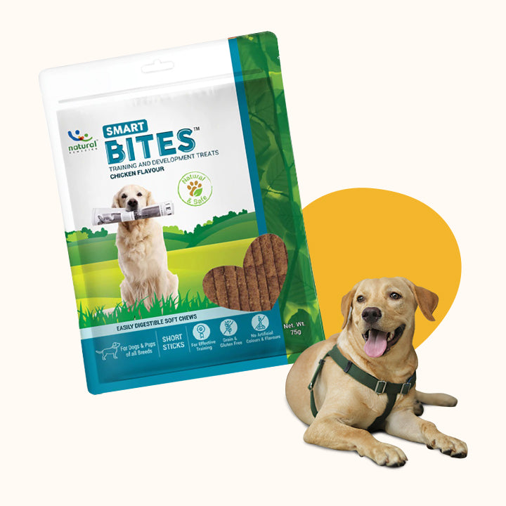 Snack bổ sung dưỡng chất cho chó Natural Remedies - SMART BITES (Vị nguyên  bản)
