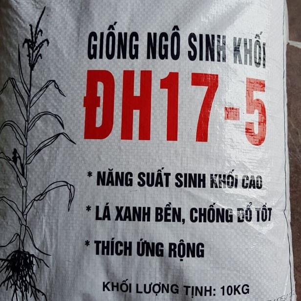 Giống Ngô Sinh Khối ĐH 175 (gói 1KG) Giống Ngô Mới Siêu Năng Suất