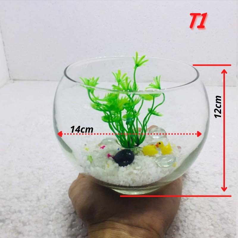 Bể cá mini TRÒN, chậu cá thủy tinh chọn mẫu
