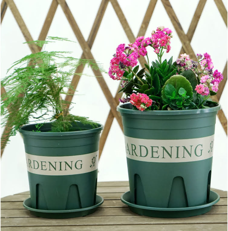 Phân bón hữu cơ vi sinh 4 in 1 - Thần dược cho cây trồng