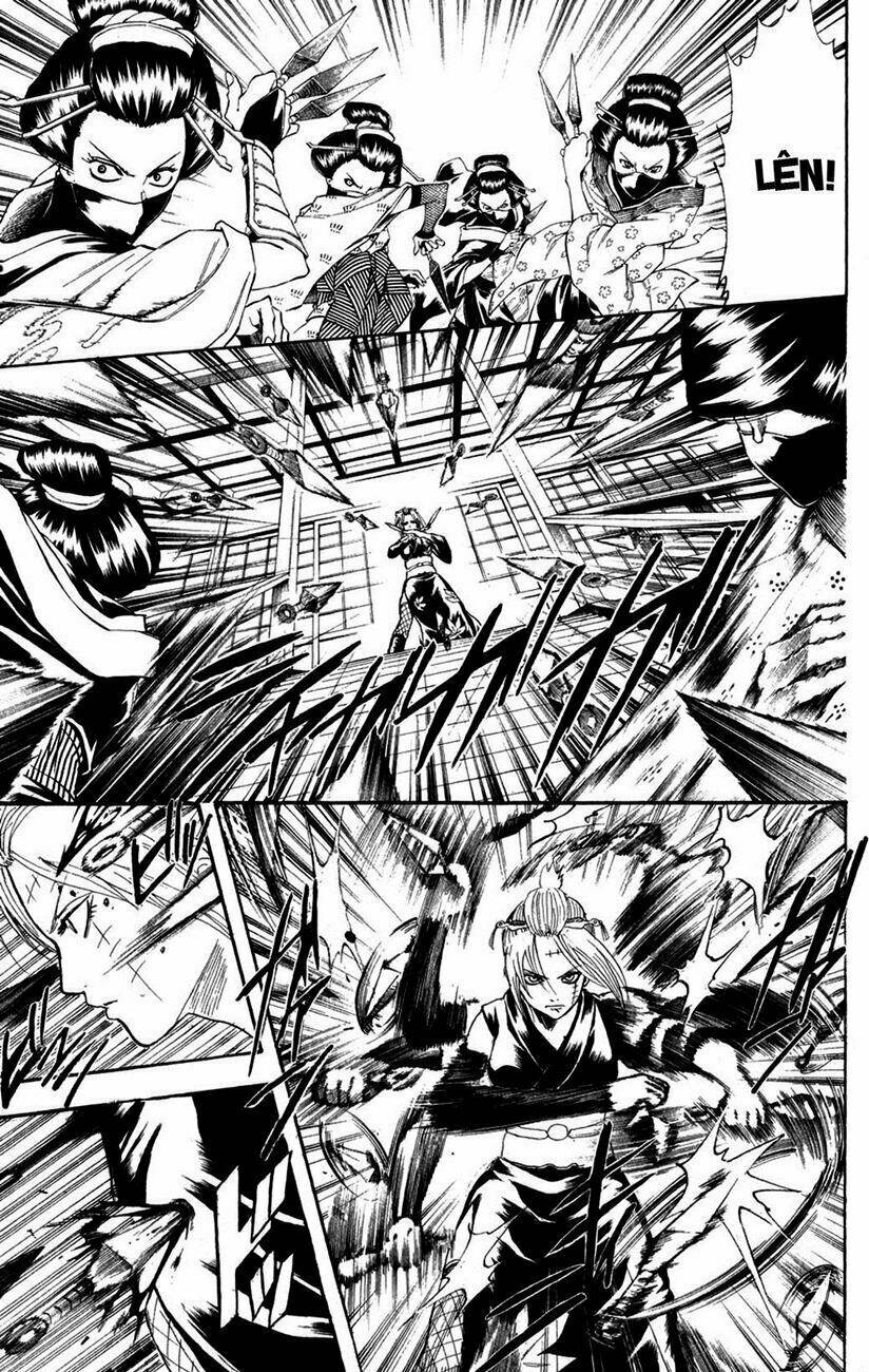 gintama - linh hồn bạc chapter 217 7