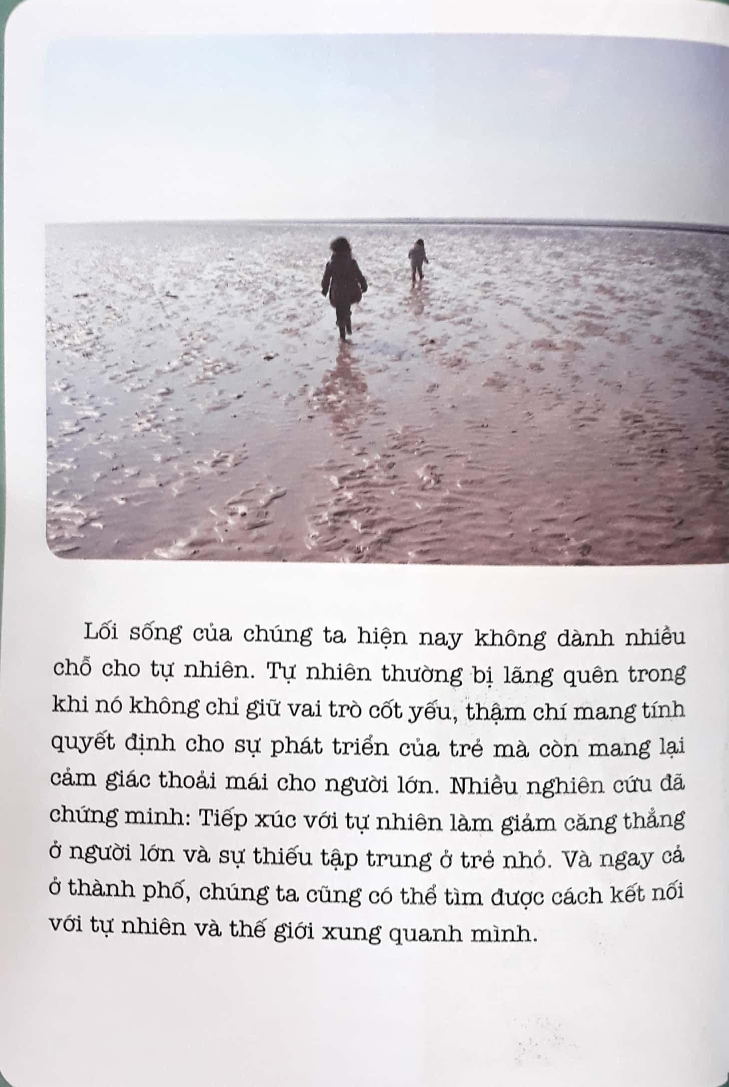 Sách Học Montessori Để Dạy Trẻ Theo Phương Pháp Montessori - 100 Hoạt Động Montessori: Con Không Muốn Làm Cây Trong Lồng Kính - ảnh 4