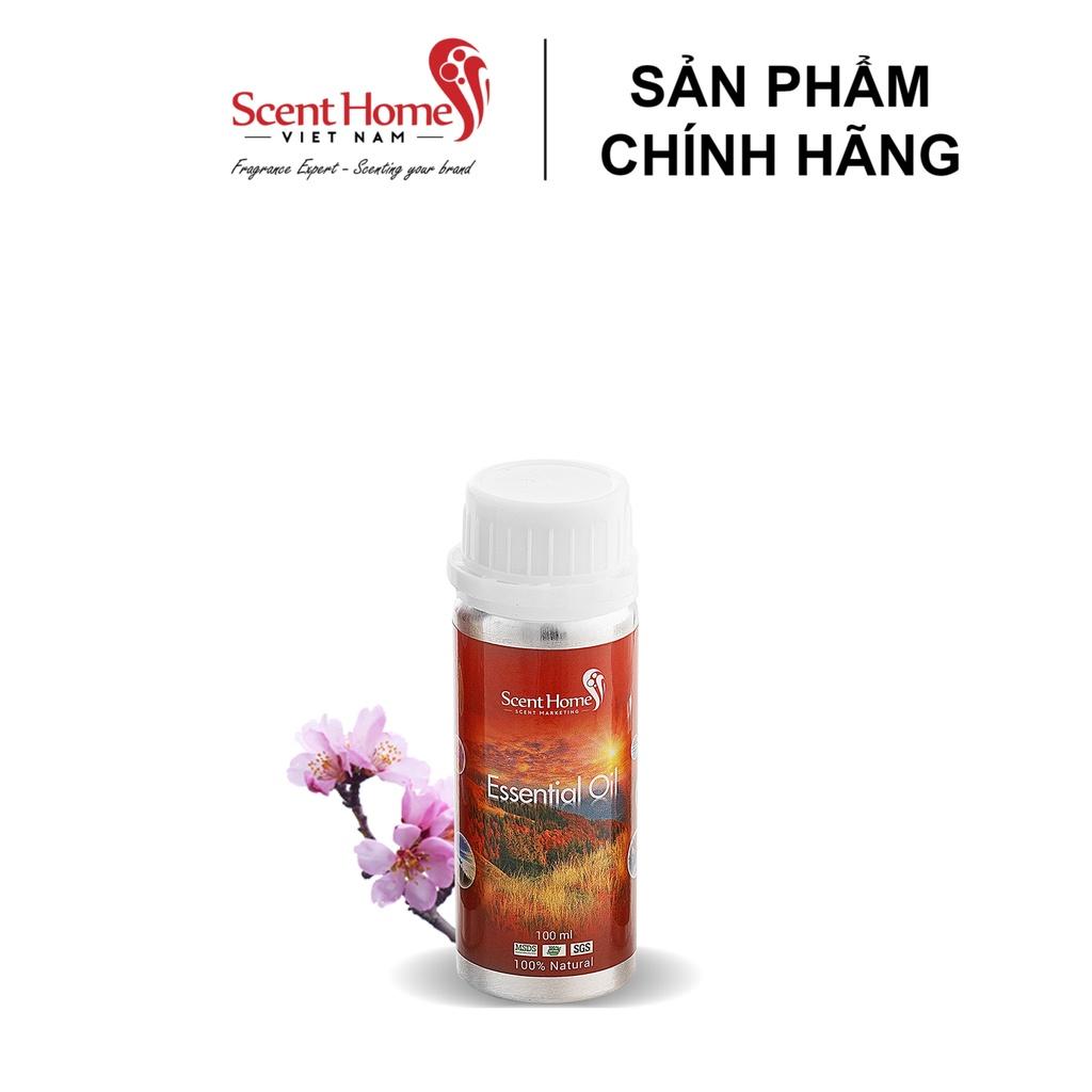 Tinh dầu Scent Homes - mùi hương