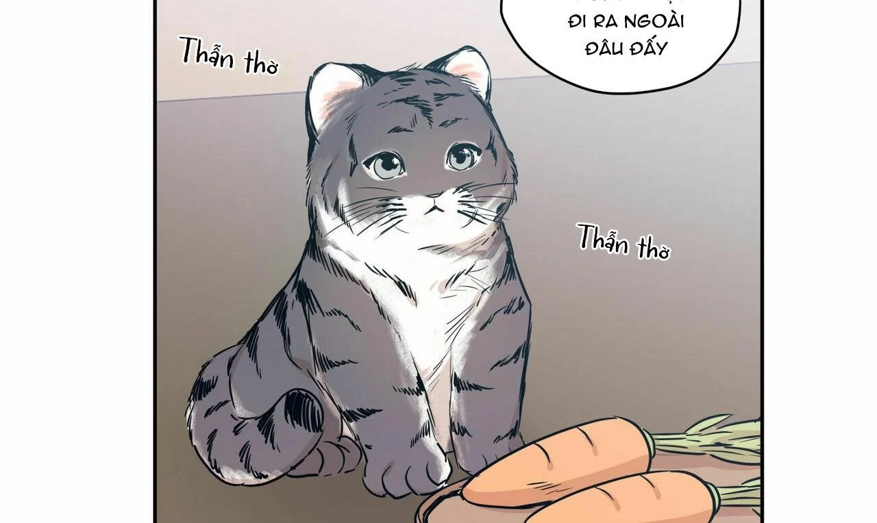 không chốn yêu đương chapter 64.2 33