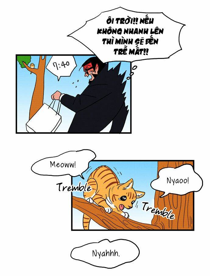 hello mr teddy chapter 4 23