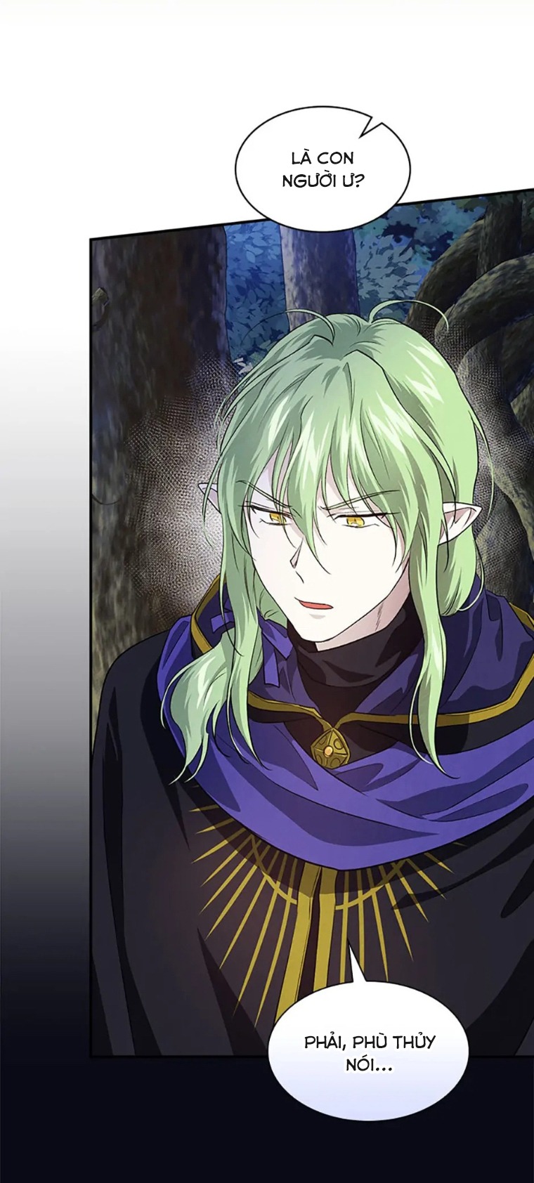 đi tìm con trai của cha tôi chapter 50 28