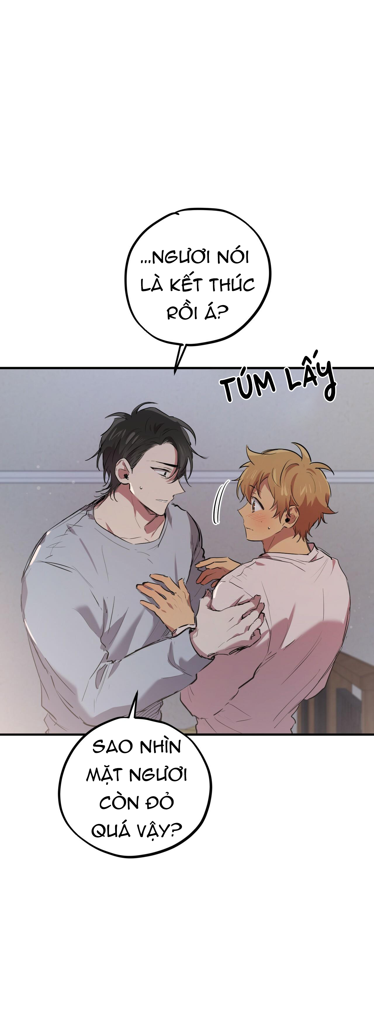 những chú thỏ của hapypy chapter 19 2