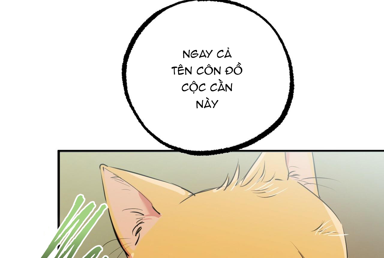 đàn thỏ của habibi chapter 32 30