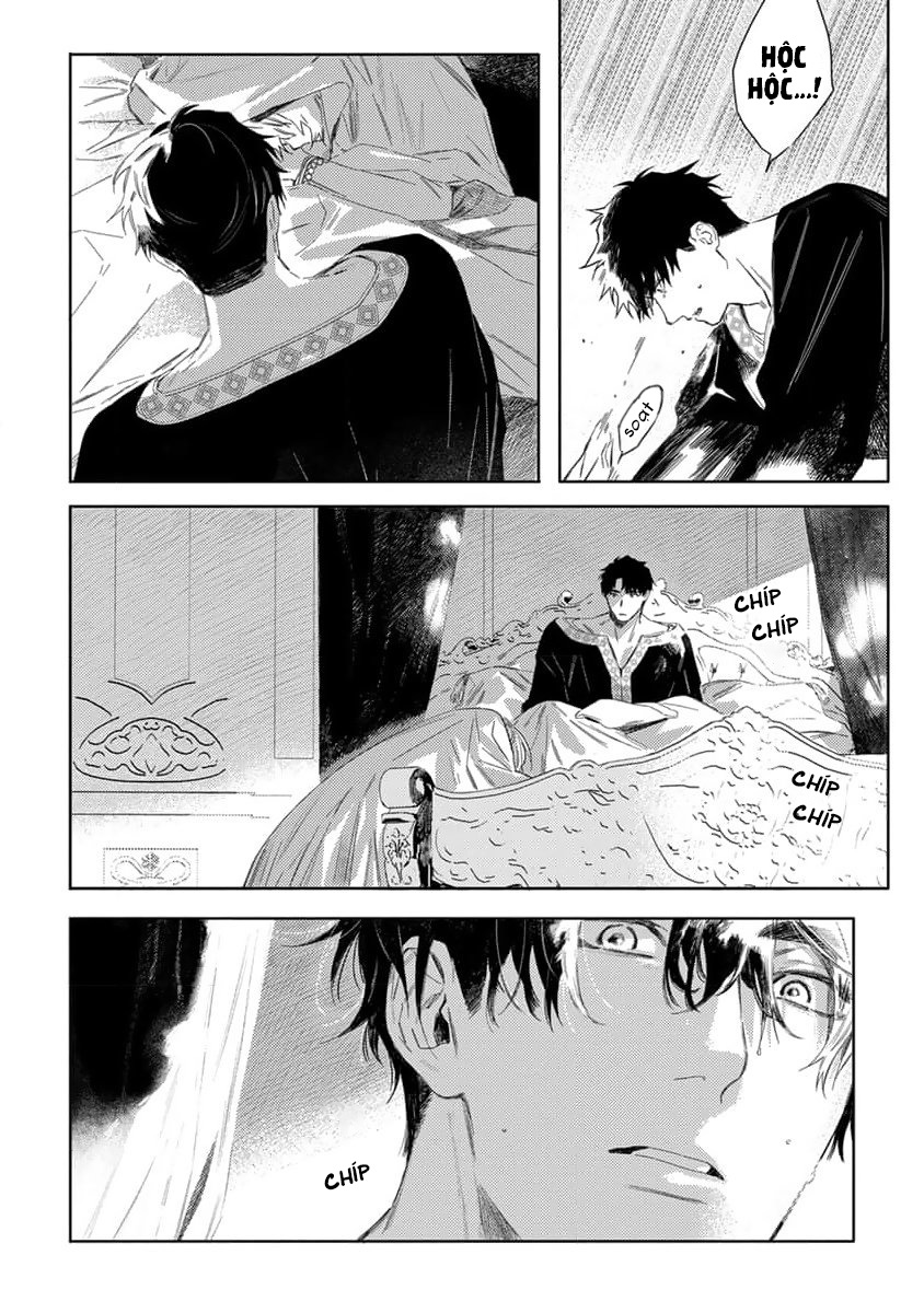 tình yêu hoa hồng dại chapter 2 34