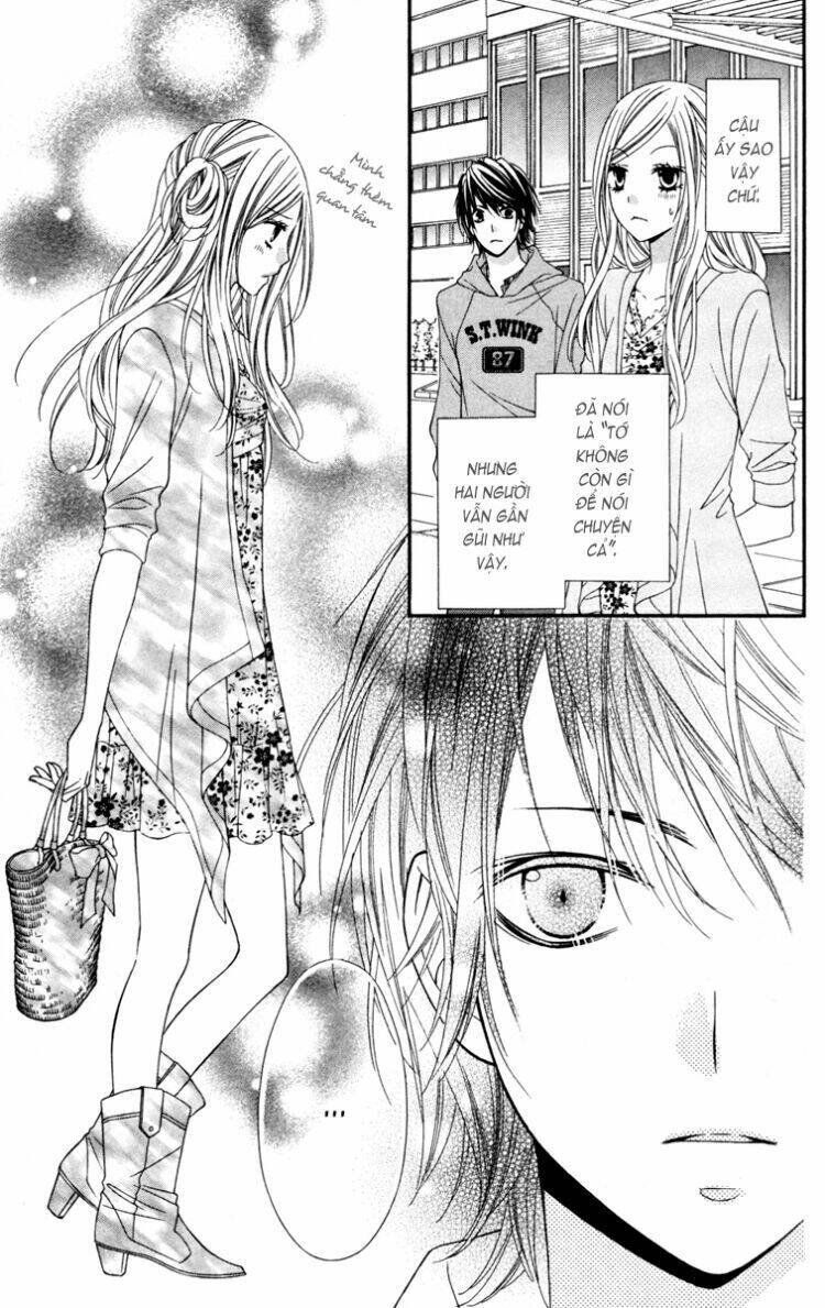 stardust wink chapter 21 35