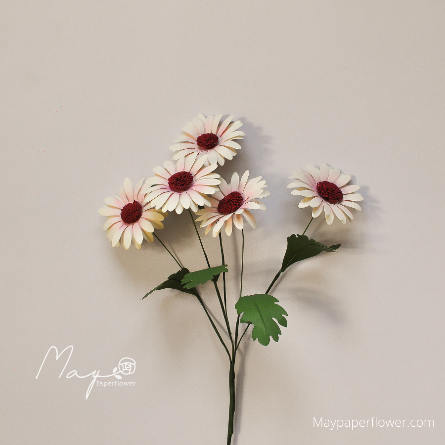 Hoa giấy handmade trang trí, Hoa Cúc Daisy nhiều màu, Maypaperflower - hoa giấy nghệ thuật, hoa cắm bình, decor nhà ở