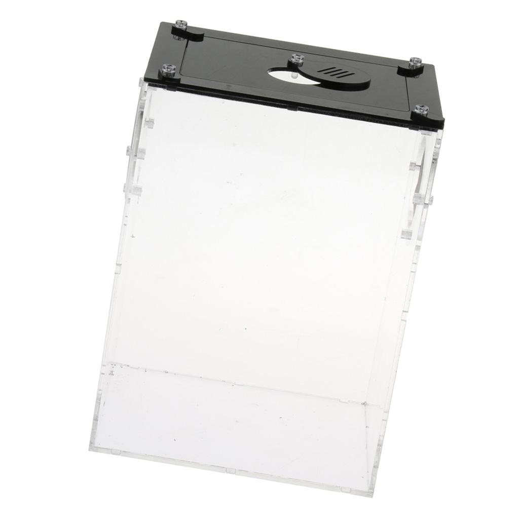 Mini Reptile Acrylic Terrarium Full View Visually Reptile Habitat Box