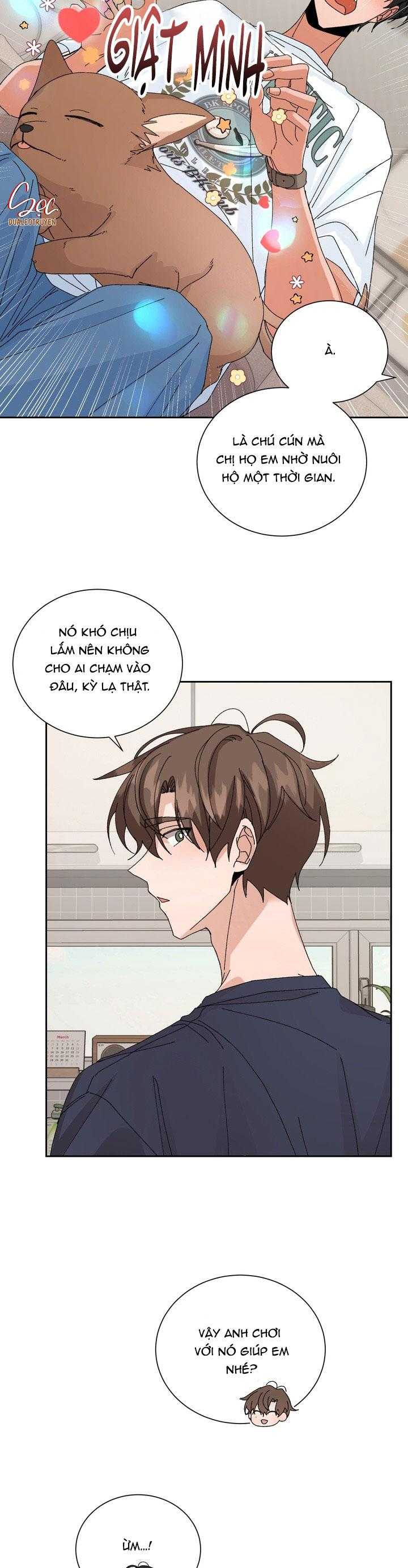 đặc quyền cho cặp đôi mới cưới Chapter 25 ss2 17