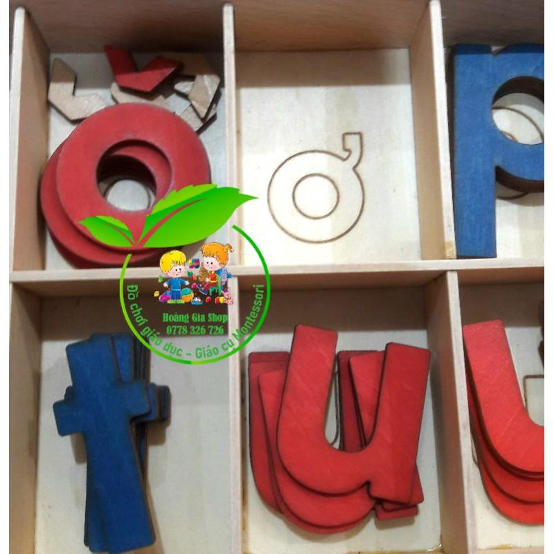 Hộp chữ cái cắt tiếng Việt và tiếng Anh