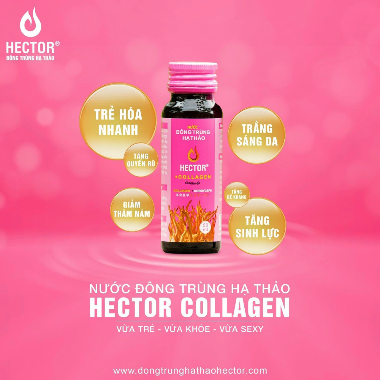 Nước Đông Trùng Hạ Thảo Hector Collagen - Hàng chính hãng