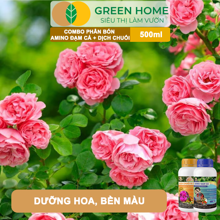 Combo Phân Bón Hữu Cơ Đạm Cá + Dịch Chuối GreenHome, 500ml, Kích Rễ, Bung Đọt, Tăng Đậu Trái To Ngọt