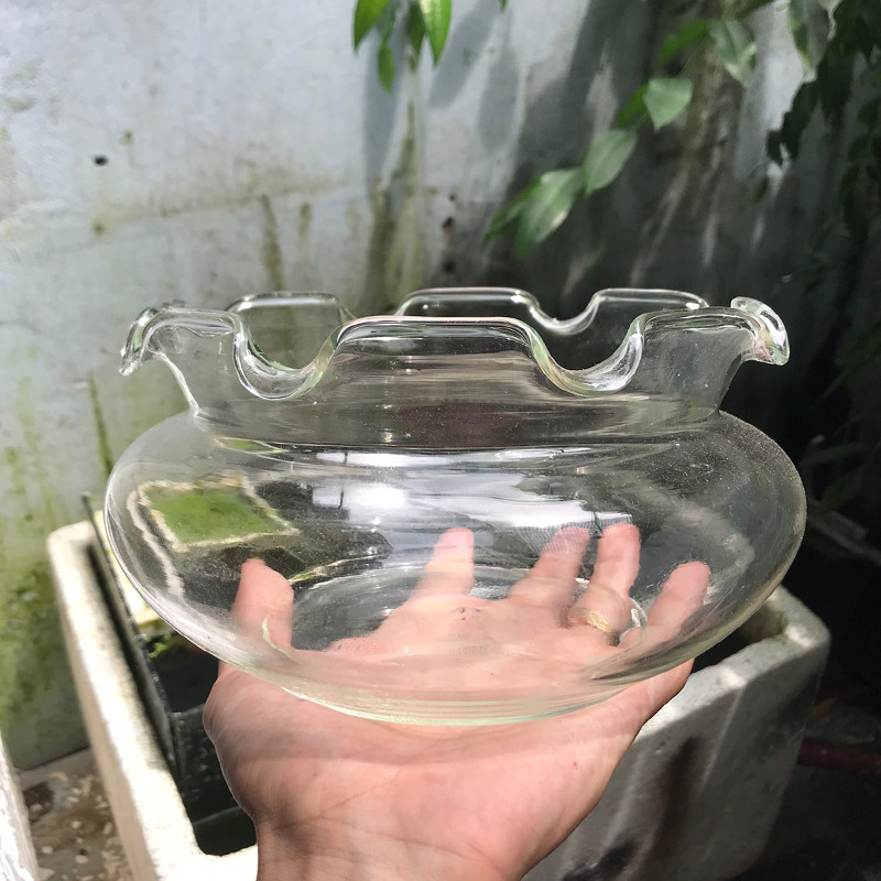 Bể cá mini - chậu cá để bàn - B16-B17-B18 bể cá tròn