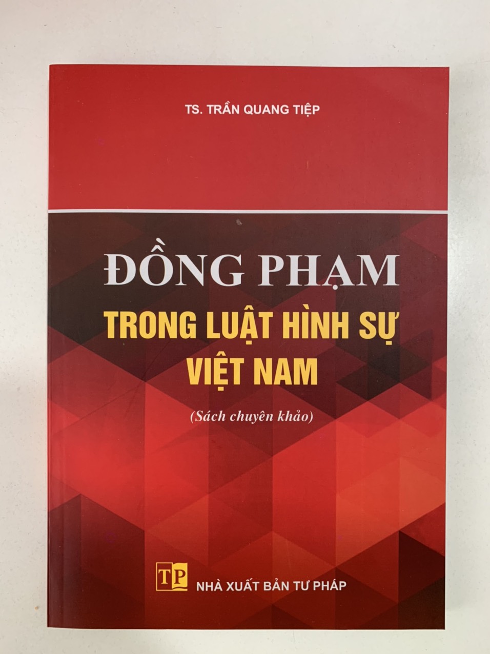 Đồng phạm trong luật hình sự Việt Nam