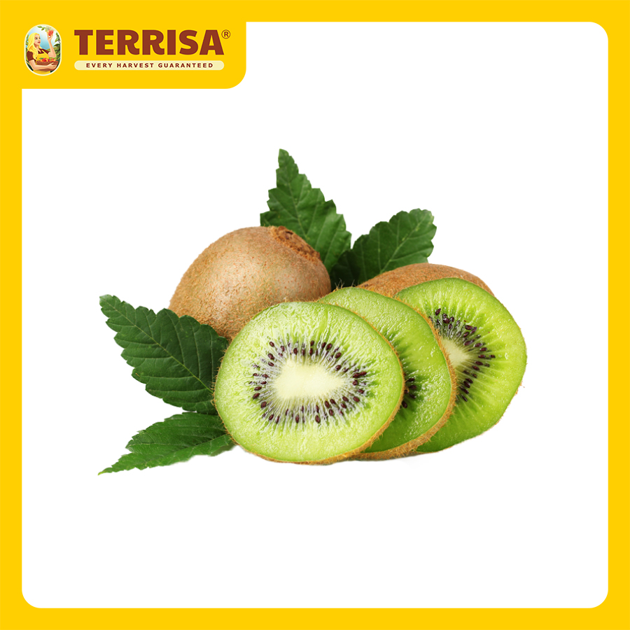 Hình nền Kiwi Trái Cây Tươi Cắt Mì Nền Minh Họa Chính Nền Tươi Nền Xanh Hình  ảnh Trái Cây Chính Background Vector để tải xuống miễn phí  Pngtree