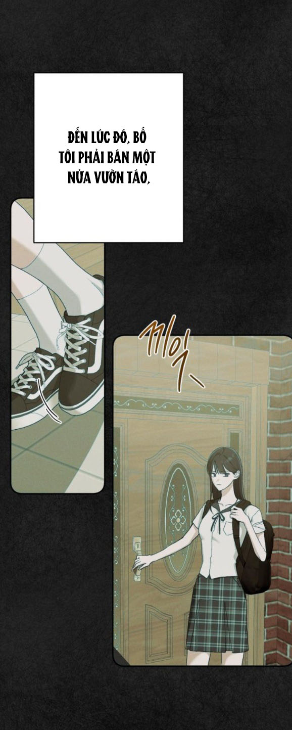 bóng râm mùa xuân chapter 8.1 17