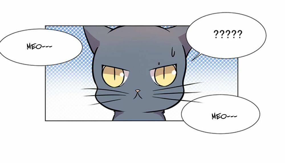 hai chú mèo totem chapter 39 2
