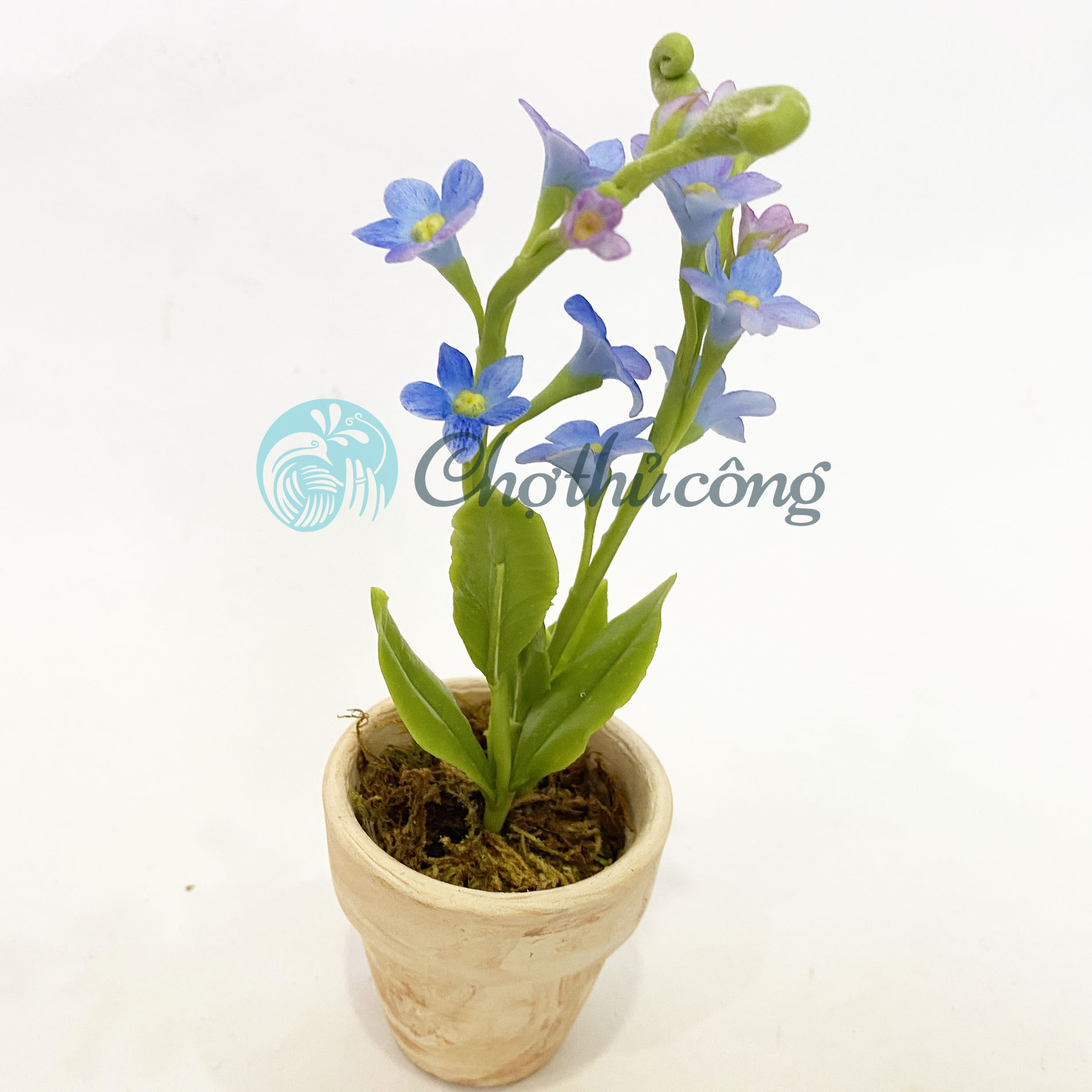 Chậu hoa lưu ly forget me not đất sét mini Nhật Thái, chậu cây mini hoa handmade - chậu hoa giả để bàn, quà tặng handmade