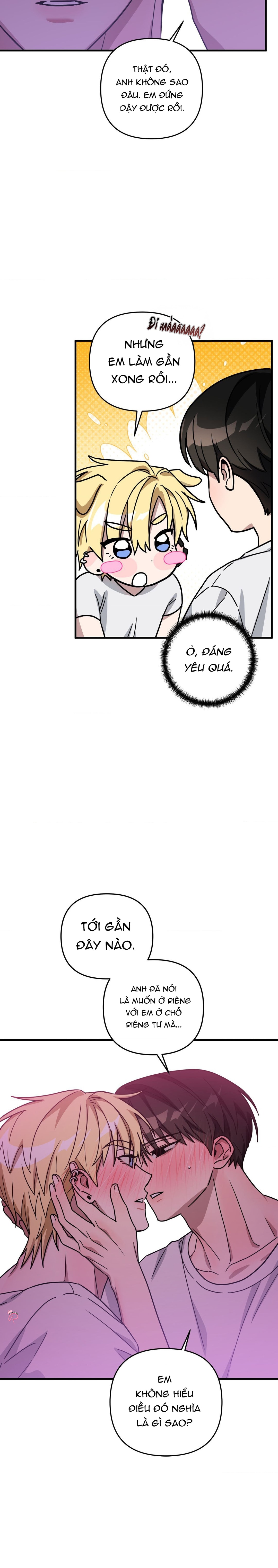 mối tình lừa đảo chapter 17 15