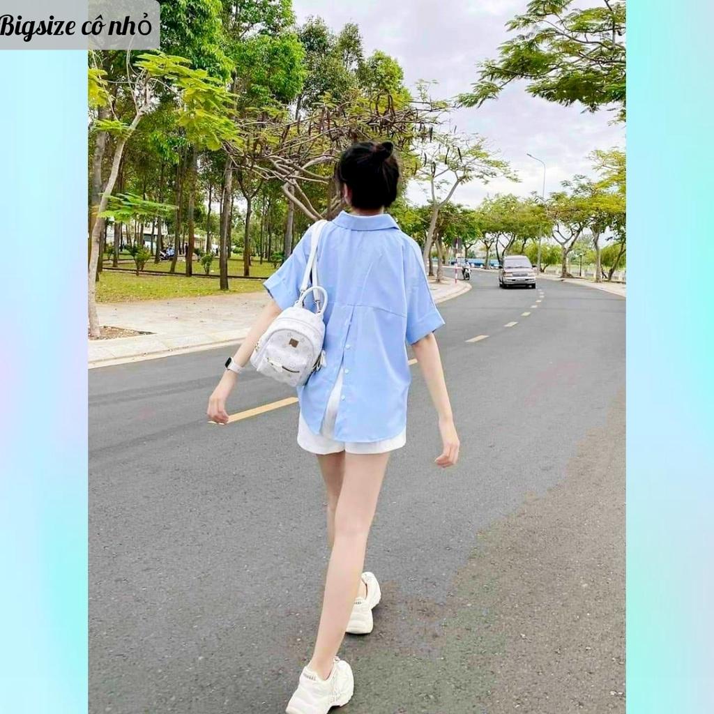 Áo sơ mi bigsize nữ tay ngắn kiểu xẻ lưng có cúc, Áo kiểu big size nữ AT10
