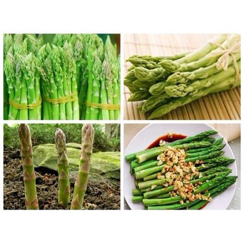 Hạt Giống Măng Tây Mỹ - 0.5gr/gói