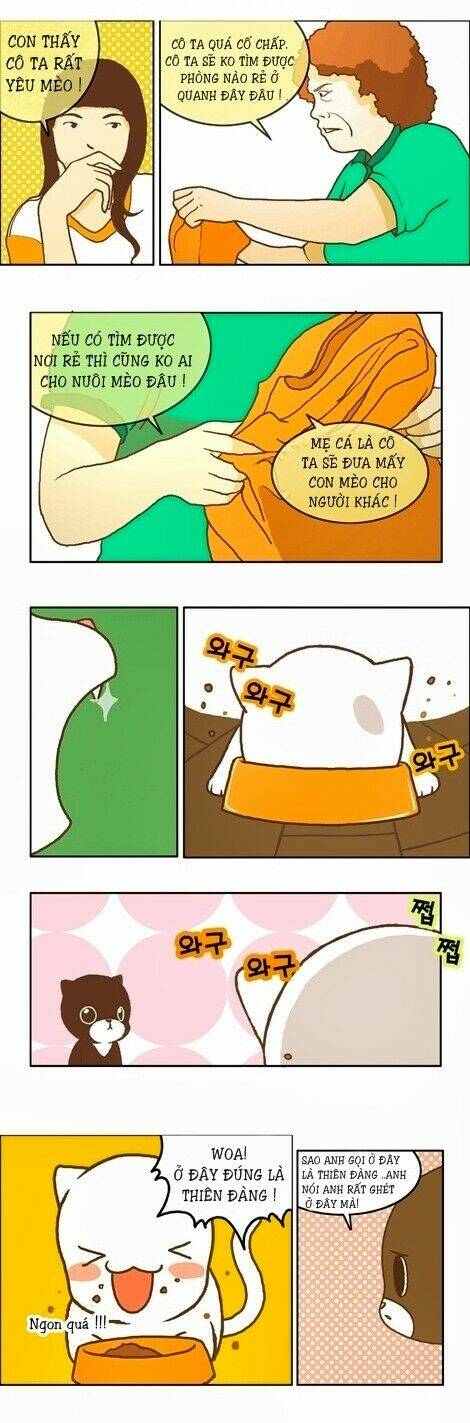 papi nyang chapter 12 3