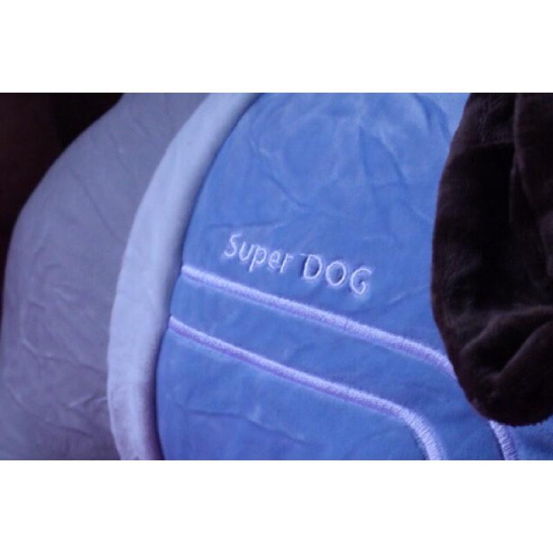 Thu bông chó bông super dog leyan mềm mịn cao cấp