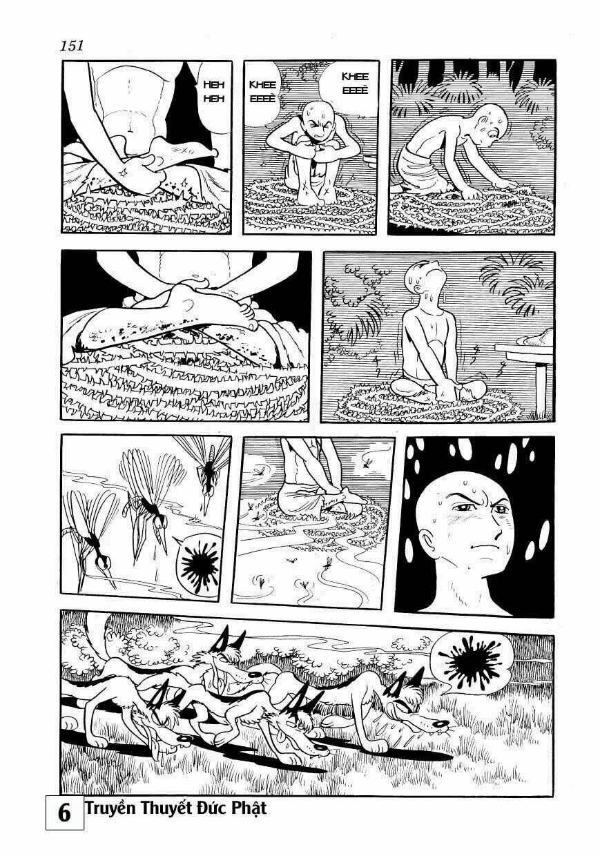 buddha - truyền thuyết đức phật chapter 29.2 6