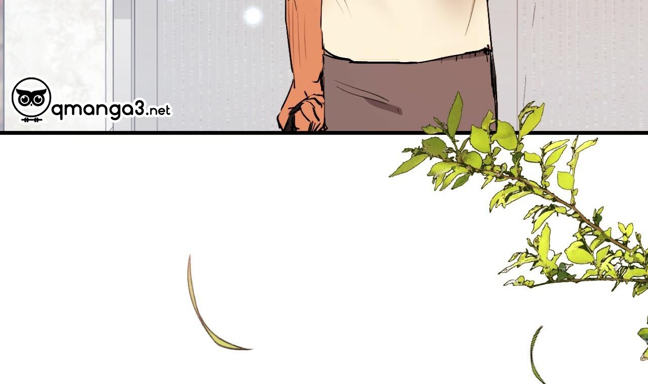 đàn thỏ của habibi chapter 44 249