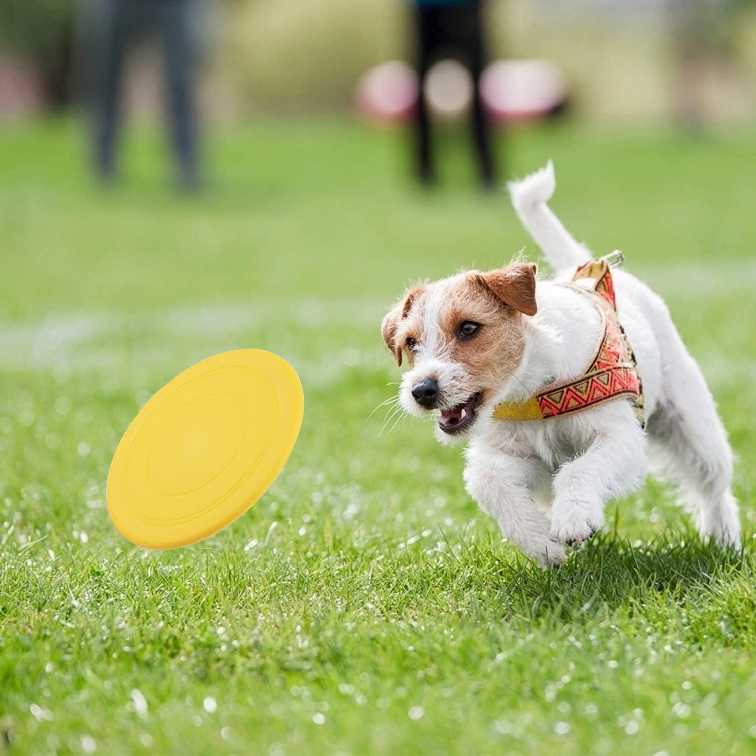 6 chiếc Frisbees cho chó, Frisbee đồ chơi cho chó, Đĩa ném cao su bền 18cm, để huấn luyện trên cạn và dưới nước, huấn luyện chó, ném, bắt và chơi