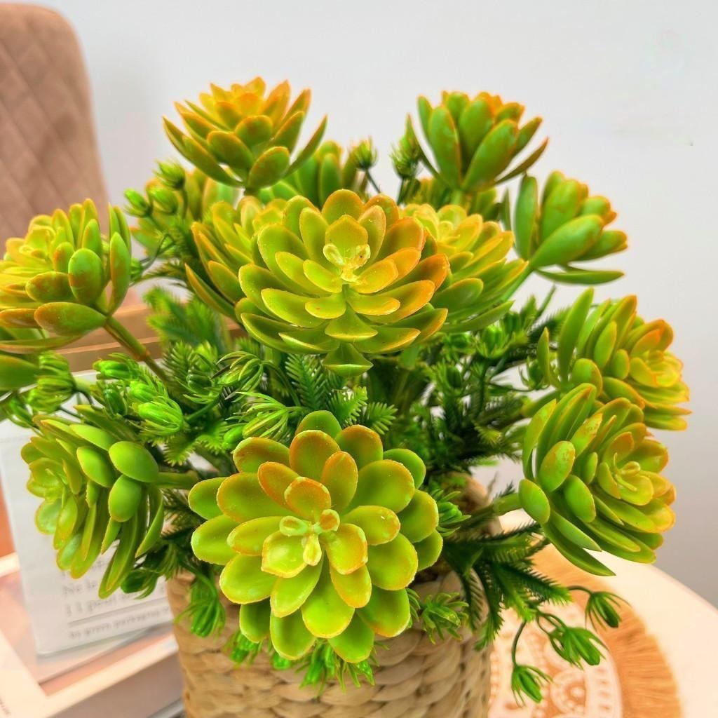 Chậu cây trang trí để bàn kèm giỏ y hình các loại - Cao 35cm đến 48cm - Cây giả, hoa lụa Decor trang trí nhà cửa